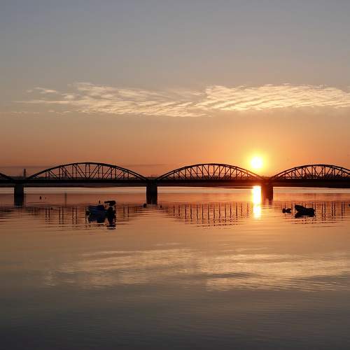 Photo #6054412