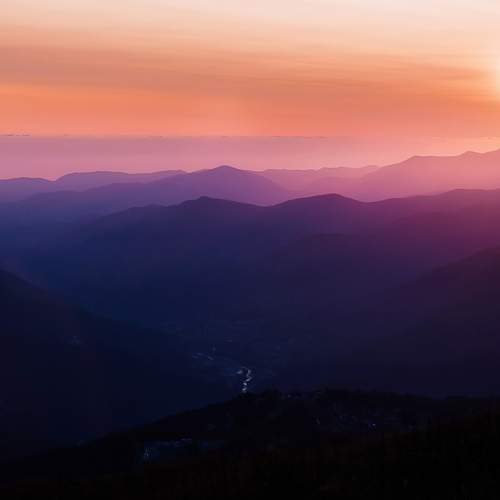 Photo #6054430