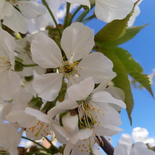 Photo #6054545