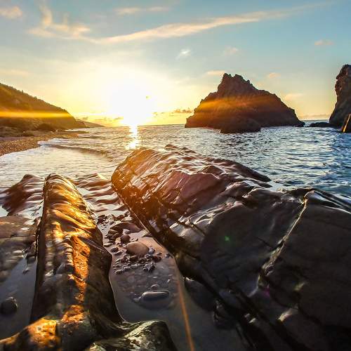 Photo #6054983