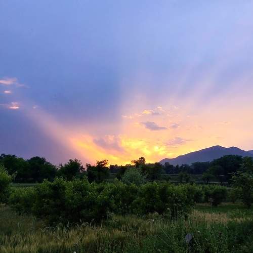 Photo #6054999