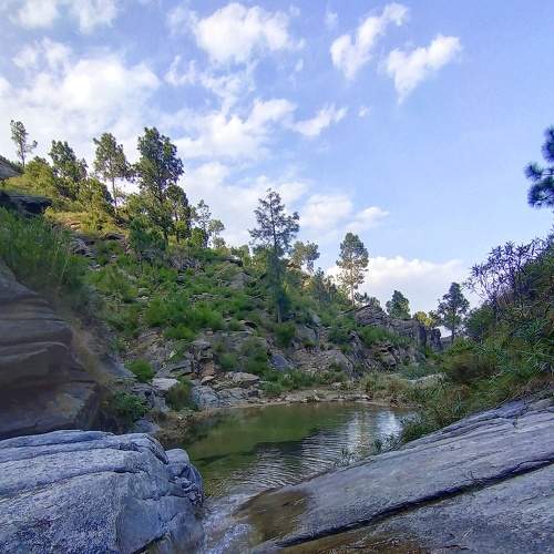 Photo #6055002