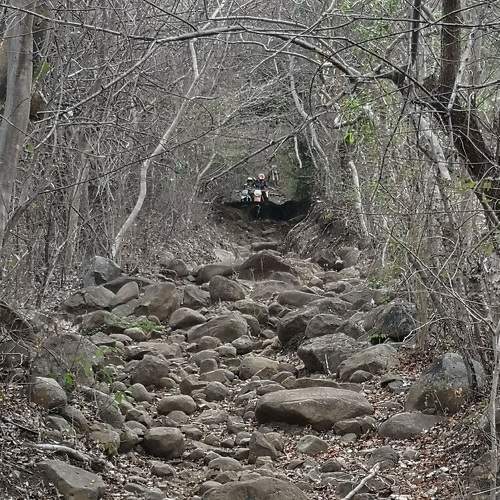 Photo #6055095