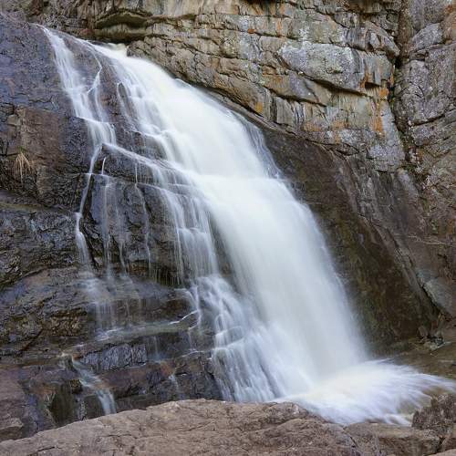 Photo #6055422
