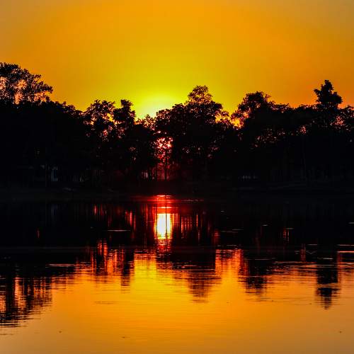 Photo #6055538
