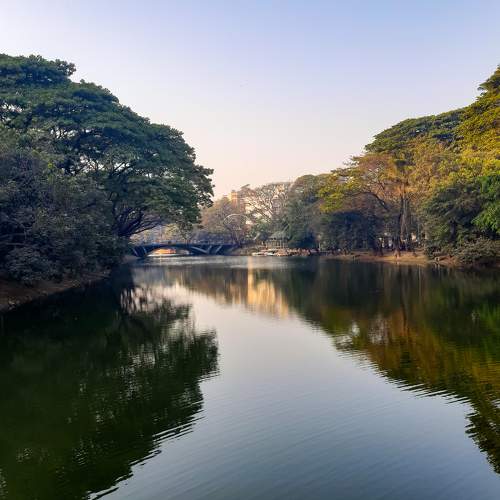 Photo #6055541