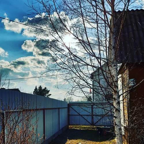 Photo #6055562