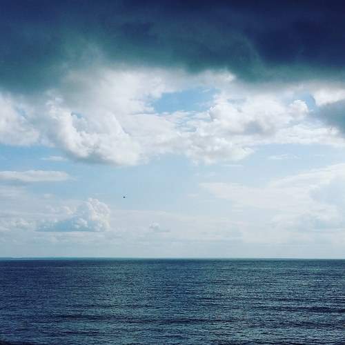 Photo #6055625