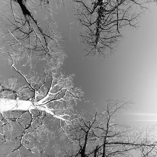 Photo #6055648