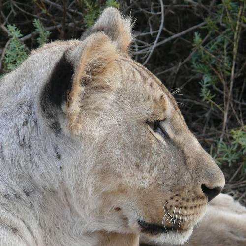 Photo #6055691