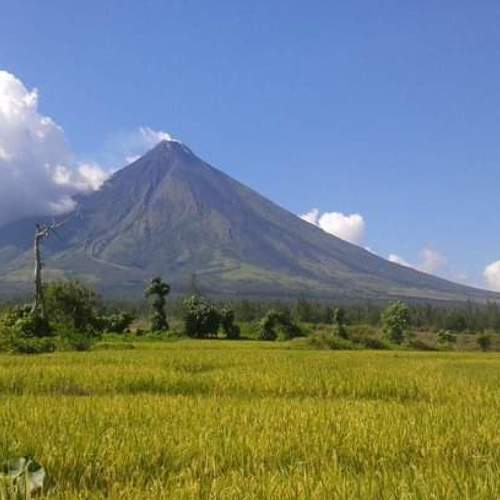 Photo #6055747