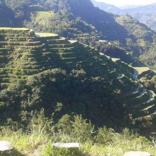 Photo #6055748