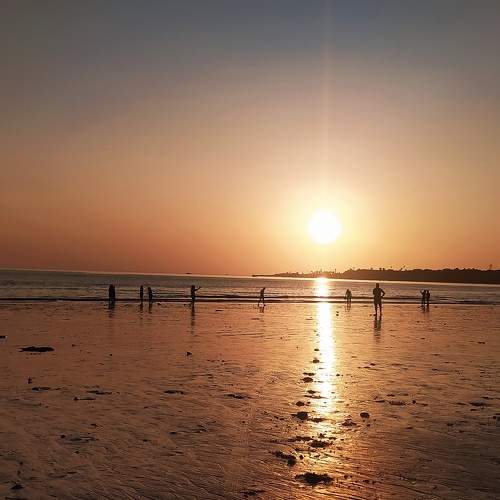 A golden Evening Sun Shine
