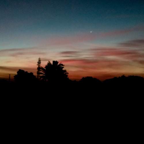 Photo #6056183