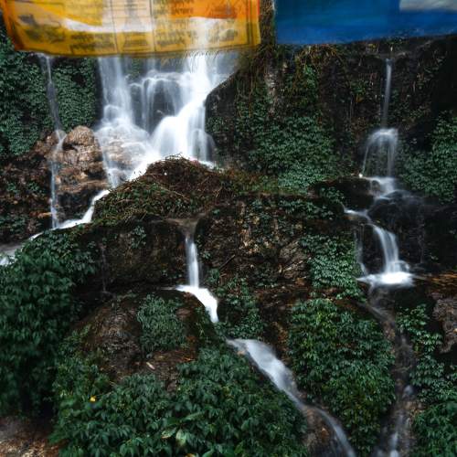 Photo #6056349