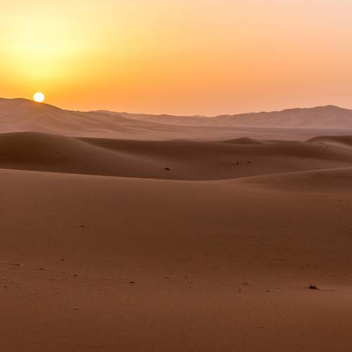 Photo #6056822