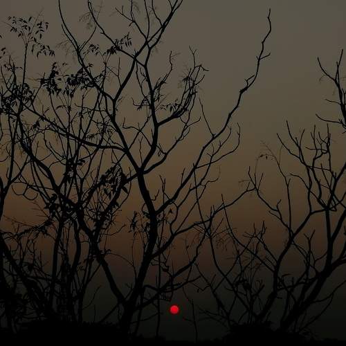 Photo #6057002