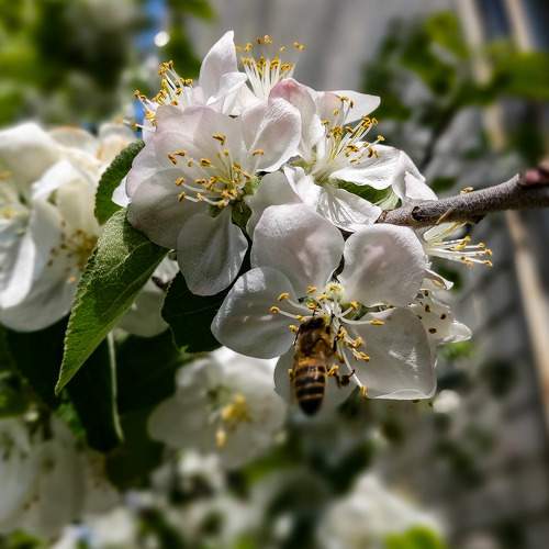 Photo #6057230