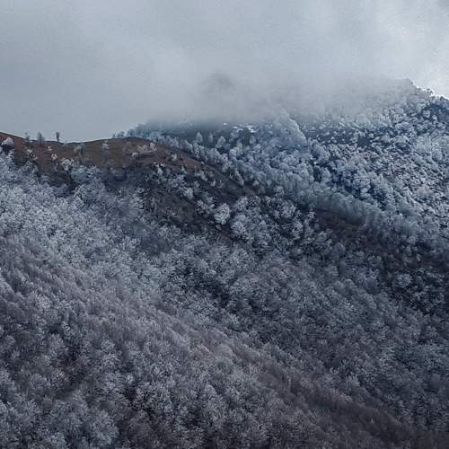 Photo #6057567