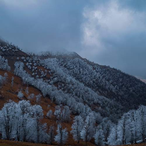 Photo #6057568