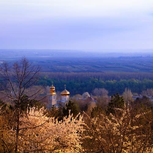 Весна на берегах Днестра