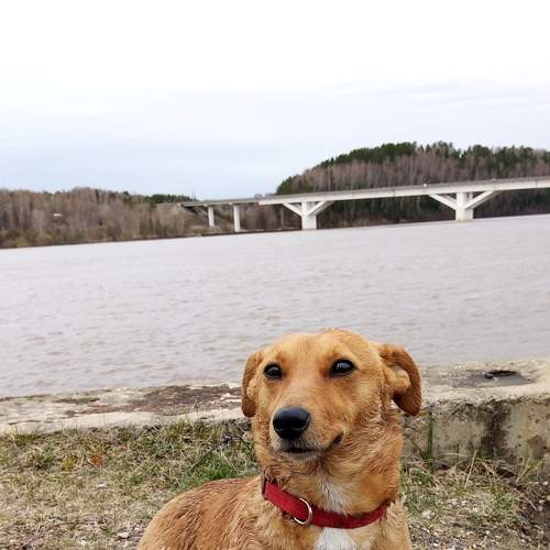 Photo #6057791