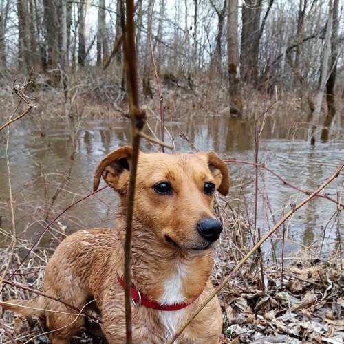 Photo #6057793