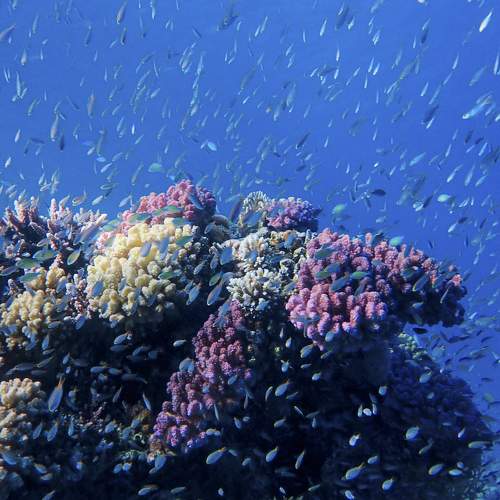 Photo #6057825