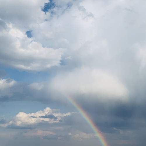 Photo #6057897