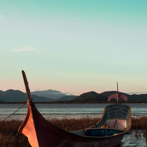 Photo #6058172