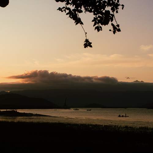Photo #6058189
