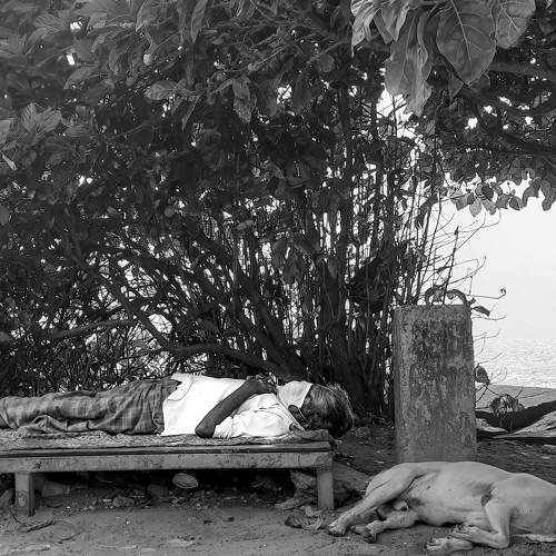 Sleepy living beings