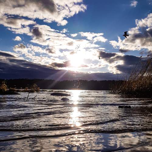 Photo #6058414