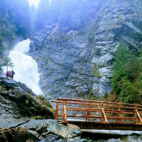 Photo #6058534
