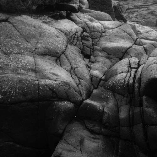 Photo #6058643