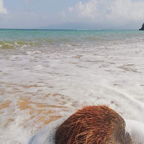 Photo #6058843