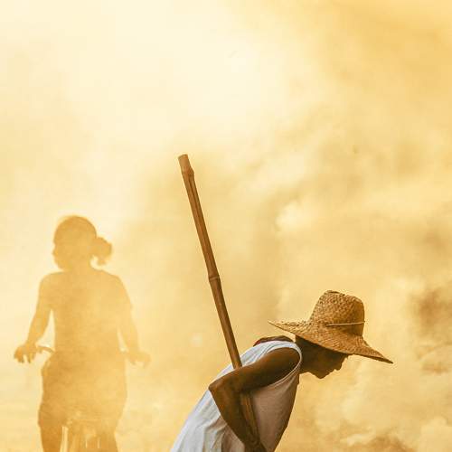 Photo #6059070