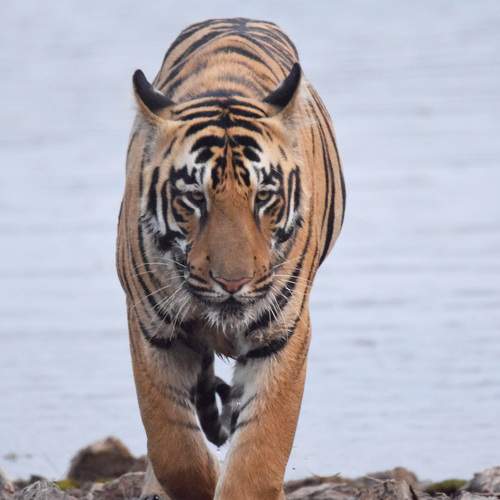 Photo #6059164