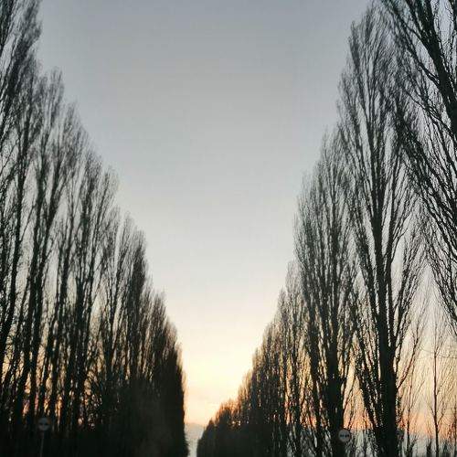 Photo #6059638