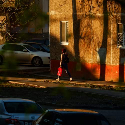 Photo #6059919