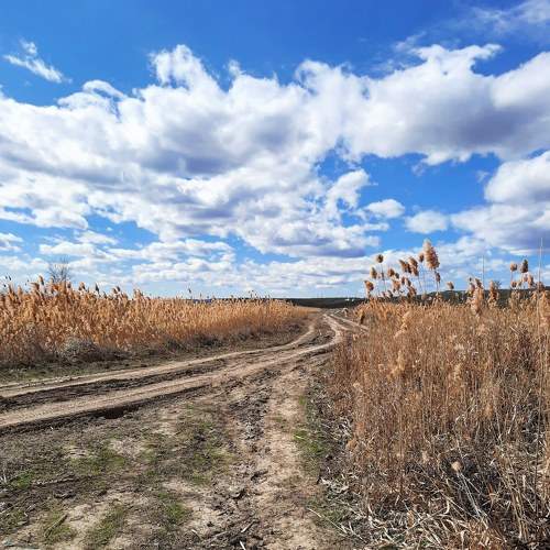Photo #6060029