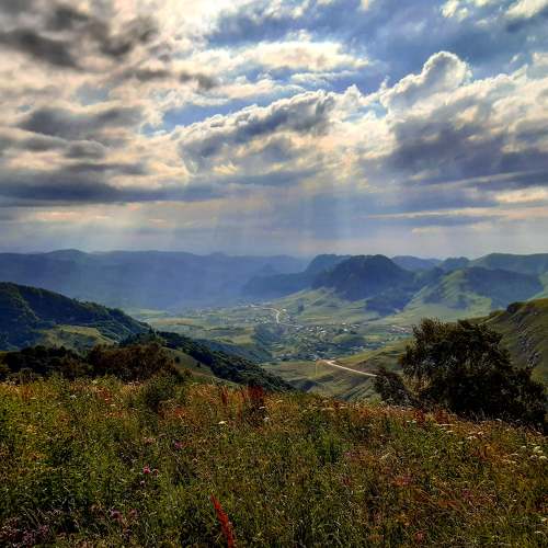 Photo #6060042