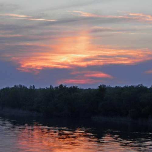 Photo #6060124