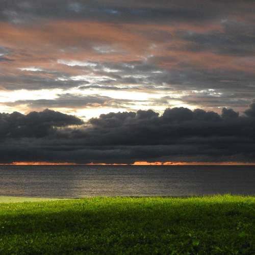 Photo #6060136