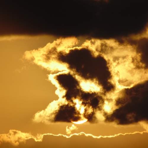 Photo #6060137