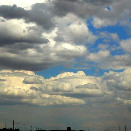 Photo #6060156