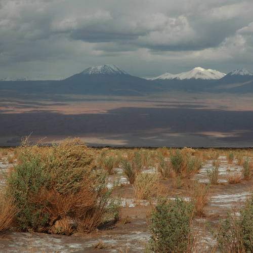 Photo #6060172