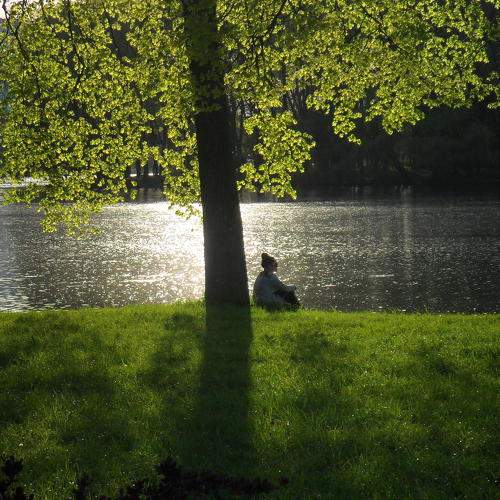 Photo #6060540