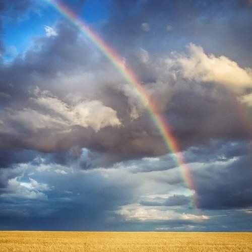 Photo #6060574