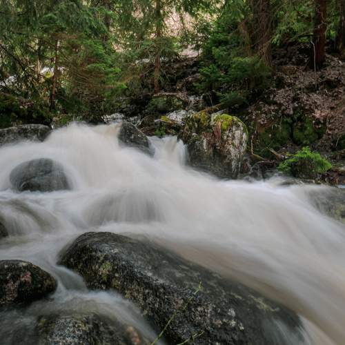 Photo #6060607
